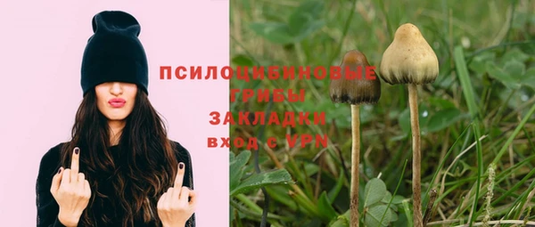 молекула духа Алексин