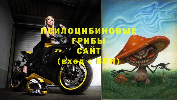 амф Алзамай