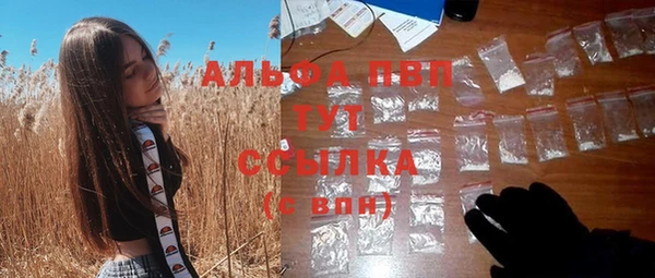молекула духа Алексин