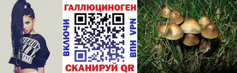купить наркотики сайты  Сим  Псилоцибиновые грибы прущие грибы 