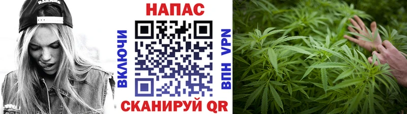 omg ссылки  Сим  Каннабис план 